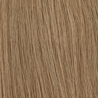 Extensions à la kératine - Couleur #70 (Blond polaire cendré blanc-gris)