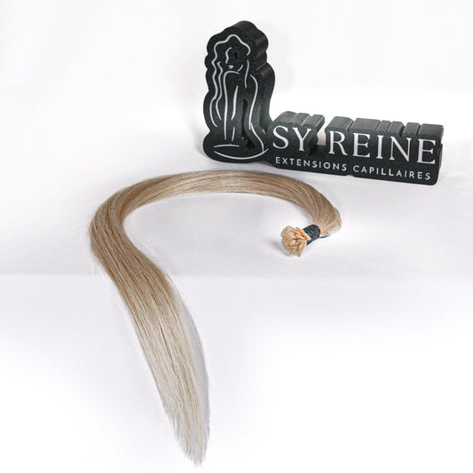 Extensions à la kératine - Couleur #60 (Blond polaire)