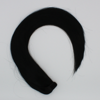 Ponytail (Queue de cheval) - Couleur #01 (Noir Majirel 1)