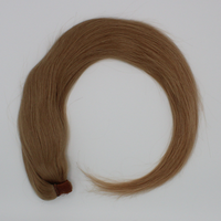 Ponytail (Queue de cheval) - Couleur #14 (Blond très très clair doré irisé Majirel 10.32)