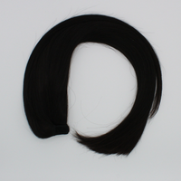 Ponytail (Queue de cheval) - Couleur #1B (Châtain foncé Majirel 3)