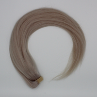 Ponytail (Queue de cheval) - Couleur #70 (Blond polaire cendré blanc-gris)