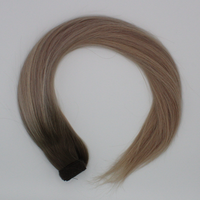 Ponytail (Queue de cheval) - Couleur #CL (#CRISTAL = Majirel 9.1 + Ombré blond polaire)