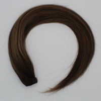 Ponytail (Queue de cheval) - Couleur #SY (#SHELLY = Majirel 6 + Balayage beige)