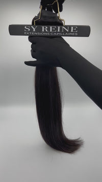 Ponytails (Queue de cheval) - Châtain foncé #1B